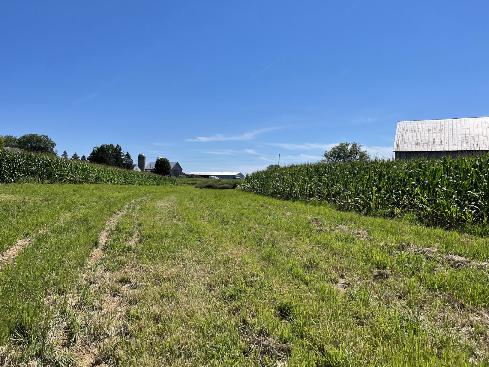 Grassed waterways are fundamental in reducing erosion and impacting ...