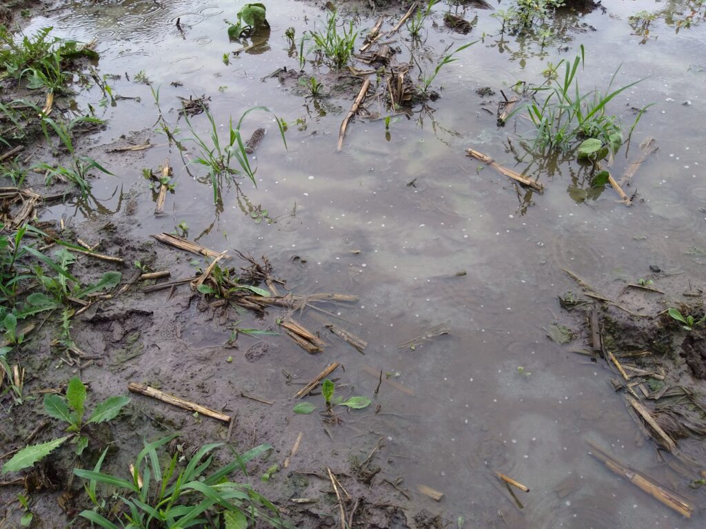 Soil Moisture and Rainfall Intensity Thresholds for Runoff Generation in Southwestern Wisconsin Agricultural Watersheds