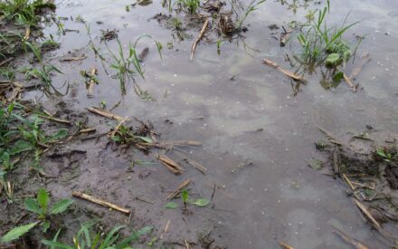 Soil Moisture and Rainfall Intensity Thresholds for Runoff Generation in Southwestern Wisconsin Agricultural Watersheds