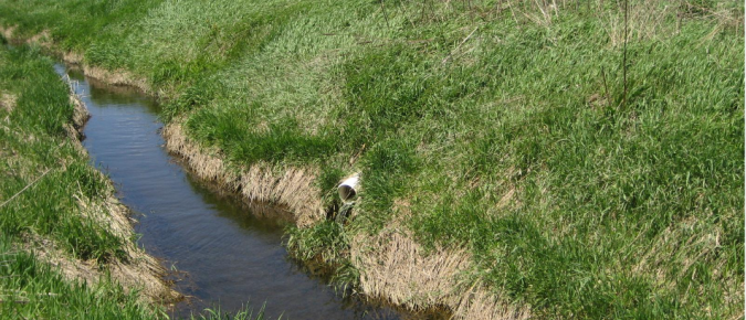 Weighing the impacts of tile drains on nutrient losses