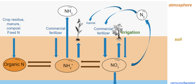 How much nitrogen is in your irrigation water?