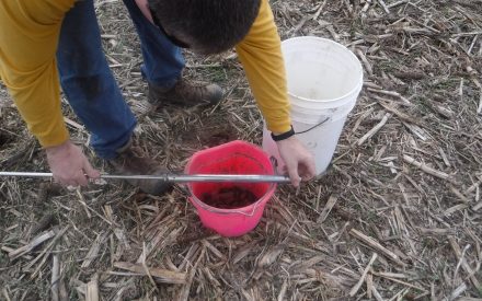 Person in a field soil sampling with two buckets and a soil probe