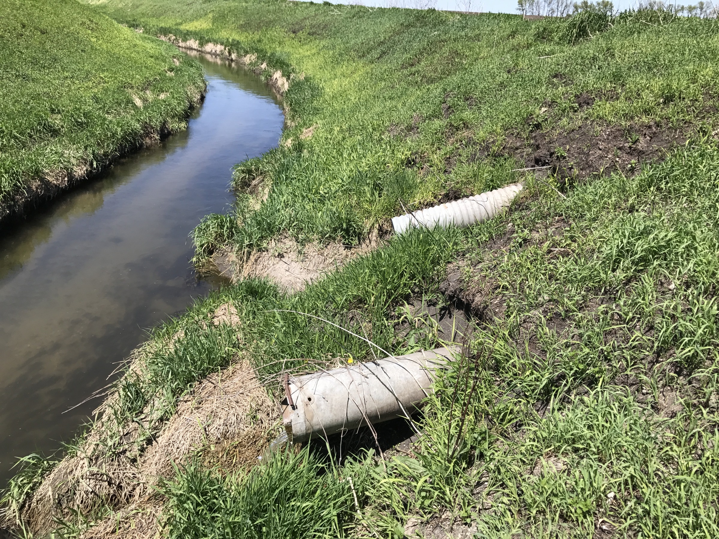 tile drainage to a stream