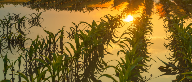 Flood Mitigation and Water Quality in Southwest Wisconsin