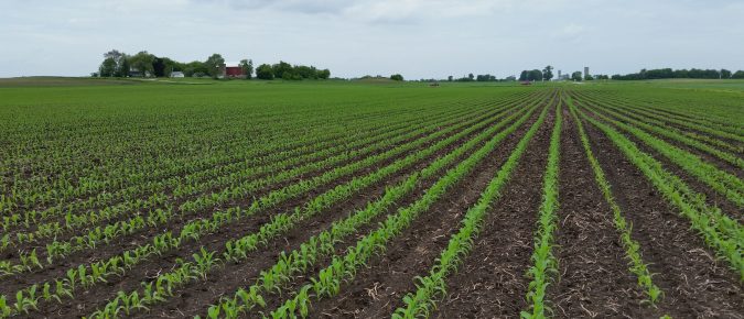 ▶ Watch: Nitrate Leaching: Trends in the Midwest to Local Impacts in Wisconsin