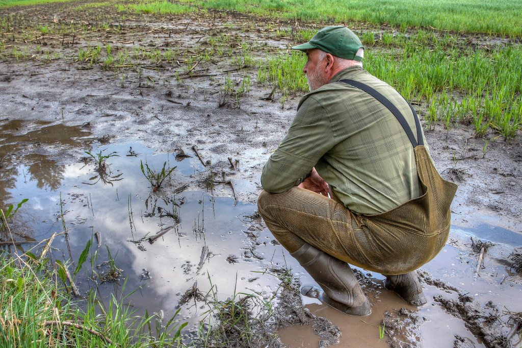 ▶ Watch: Flood Mitigation and Water Quality in Extreme Weather Conditions