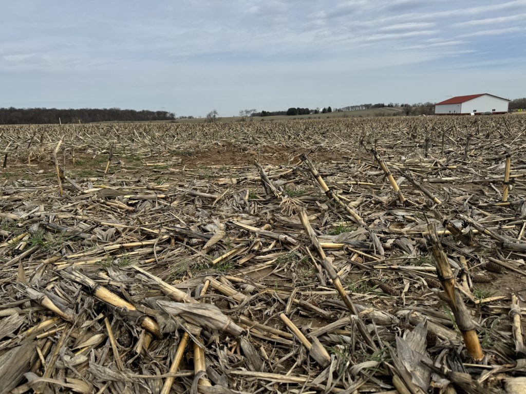 Wanted: Fields under cover