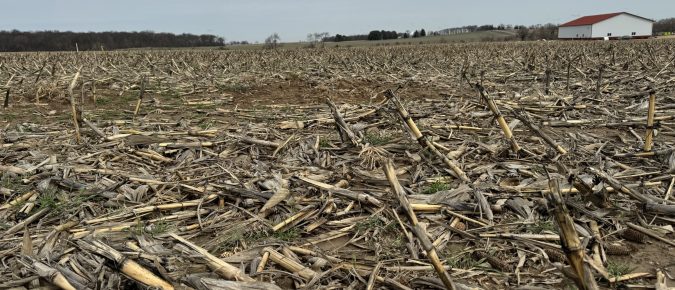 Wanted: Fields under cover