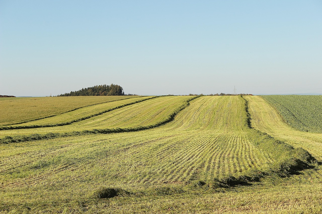 Rolling agricultural fields with parallel crop rows and contour farming patterns.