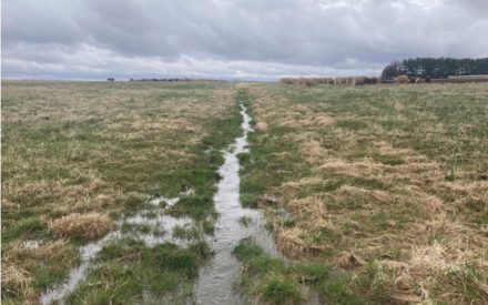 A small stream of water runs across a field on an overcast day.