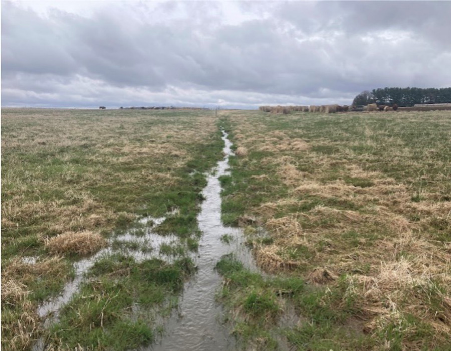 ▶ How Does Nitrate Leaching Respond to Nitrogen Inputs from Fertilizer and Manure?