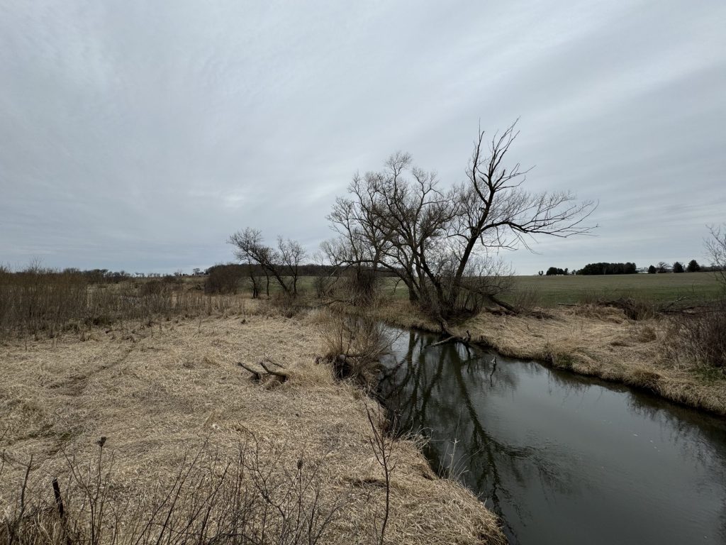 ▶ Nitrogen Leaching: Trends, Risks and Regional Insights