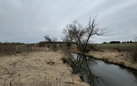 ▶ Nitrogen Leaching: Trends, Risks and Regional Insights