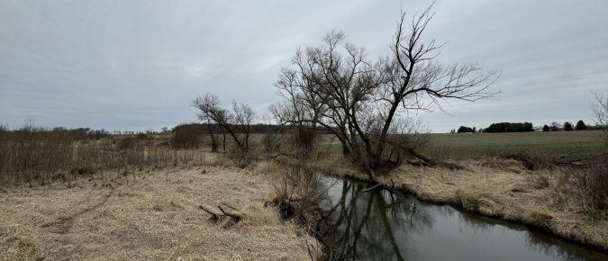 ▶ Nitrogen Leaching: Trends, Risks and Regional Insights