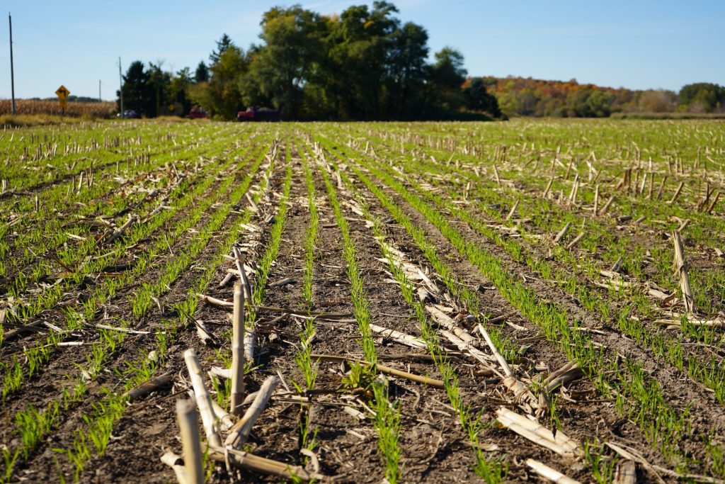 Phosphorus Losses Checked by Layered Practices and Careful Timing: A Discovery Farms Project