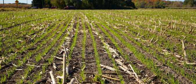 Phosphorus Losses Checked by Layered Practices and Careful Timing: A Discovery Farms Project