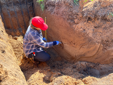 Person in a soil pit pointing at a soil layer with a measuring stick.
