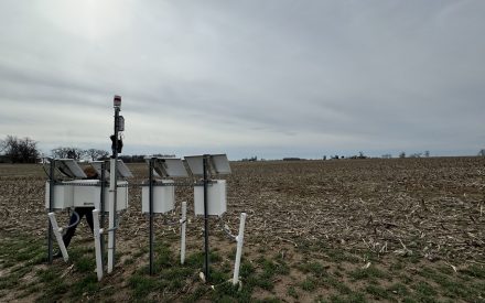 Lysimeters in a farm field with winter rye cover crops on a cloudy spring day.