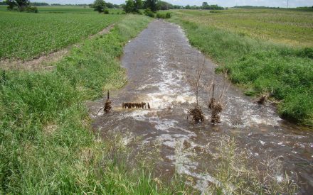 Diving Deep Into Plant Available Water