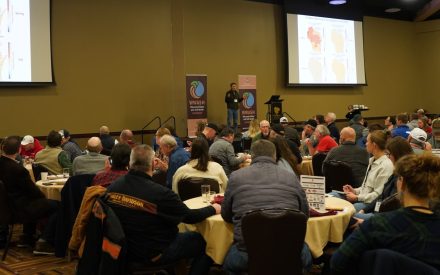A large conference room with people sitting at round tables as they listen to the presentation.