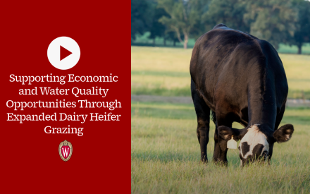 ▶ Watch: Economic and Water Quality Opportunities Through Grazing Dairy Heifers