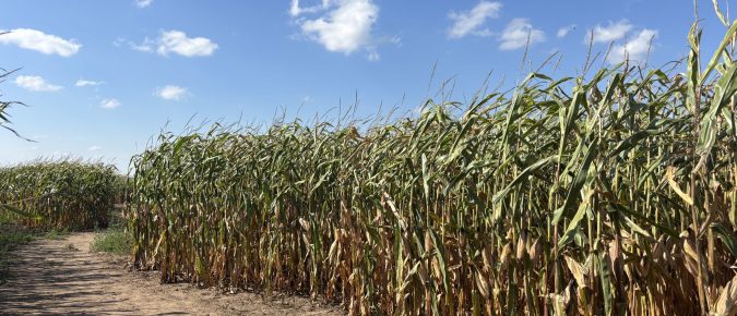 Upcoming Event: 2026 Central Wisconsin Processing Crops Meeting