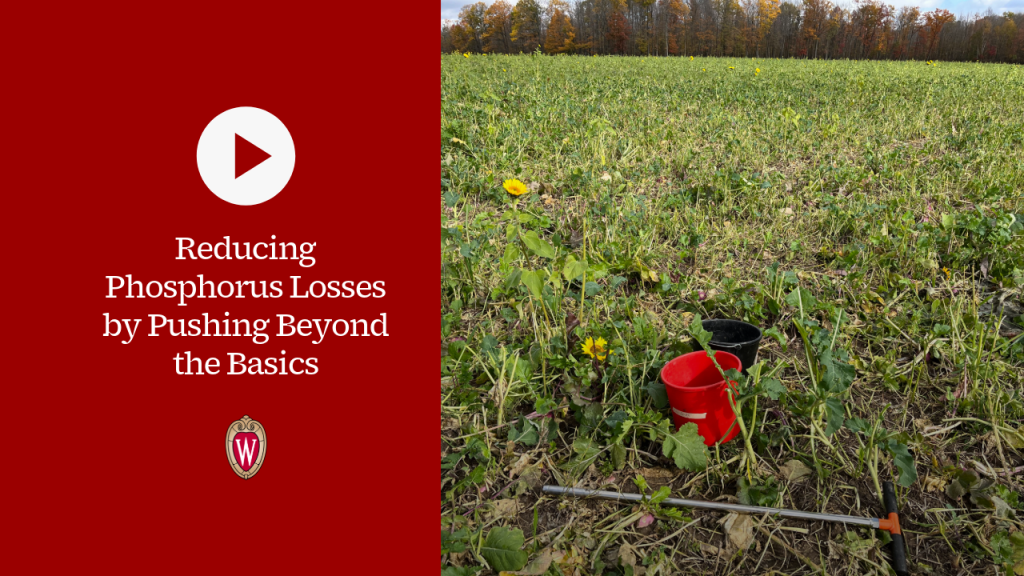 ▶ Watch: Reducing Phosphorus Losses by Pushing Beyond the Basics