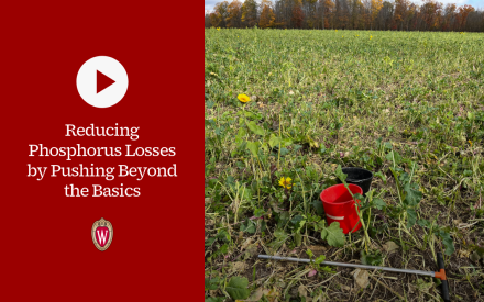 ▶ Watch: Reducing Phosphorus Losses by Pushing Beyond the Basics