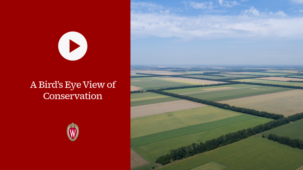 ▶ Watch: A Bird’s Eye View of Conservation