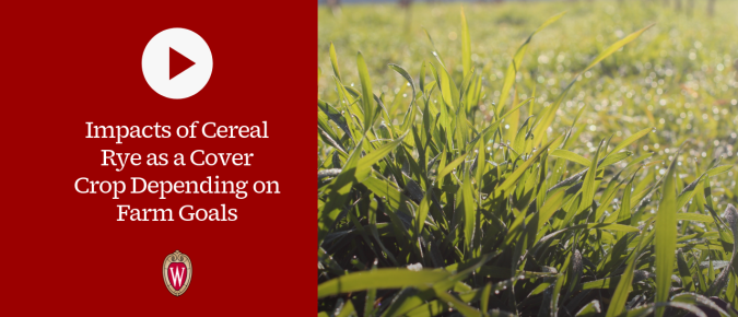 ▶ Watch: Impacts of Cereal Rye as a Cover Crop Depending on Farm Goals