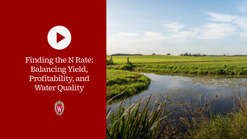▶ Watch: Finding the N Rate: Balancing Yield, Profitability, and Water Quality