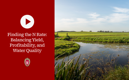 ▶ Watch: Finding the N Rate: Balancing Yield, Profitability, and Water Quality