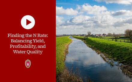 ▶ Watch: Finding the N Rate: Balancing Yield, Profitability, and Water Quality