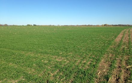 Field Walkover Guide: A Practical On-Farm Conservation Tool
