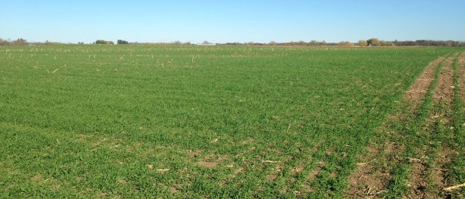 Field Walkover Guide: A Practical On-Farm Conservation Tool