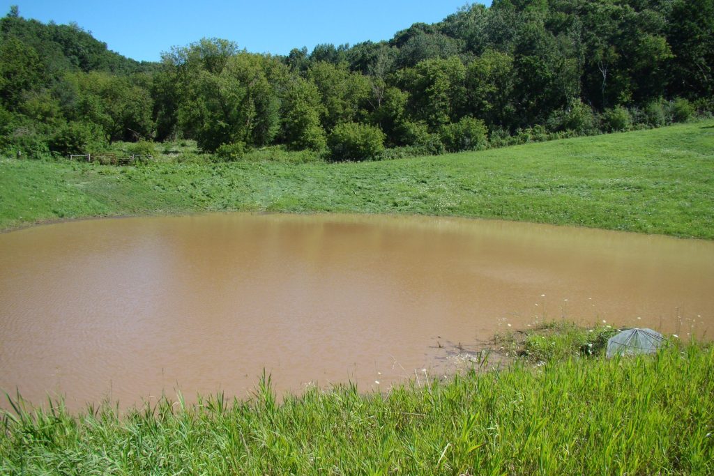 Conservation Benefits of a Grade Stabilization Structure
