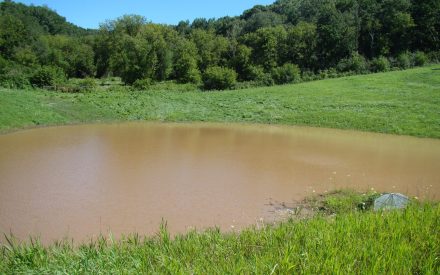 Conservation Benefits of a Grade Stabilization Structure