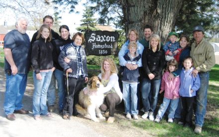 Understanding Nutrient and Sediment Loss at Saxon Homestead Farm