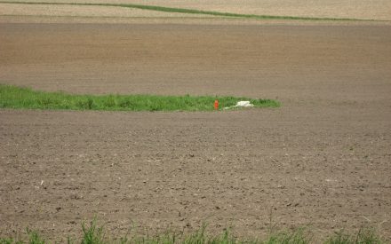 Characterizing Phosphorus Dynamics in Tile-drained Agricultural Fields of Eastern Wisconsin