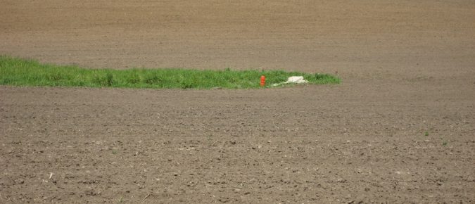 Characterizing Phosphorus Dynamics in Tile-drained Agricultural Fields of Eastern Wisconsin