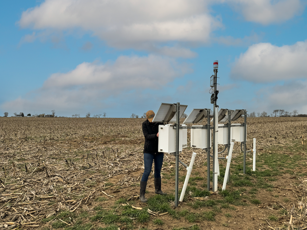 A researcher works on a lysimeter in the middle of a spring field.