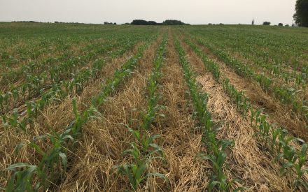Proof of Progress Twenty Years Later on Kewaunee County Farms