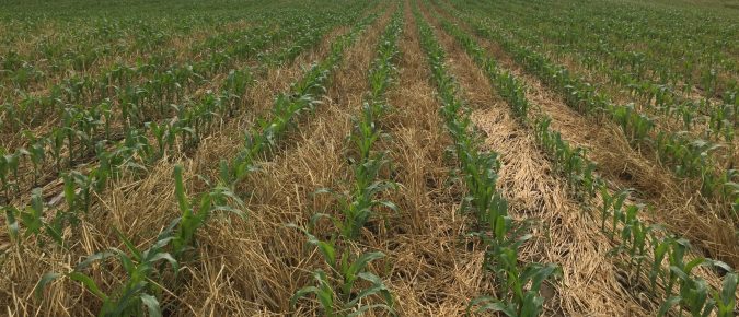 Proof of Progress Twenty Years Later on Kewaunee County Farms