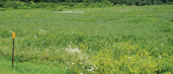 Nonagricultural land: A sink or a source?