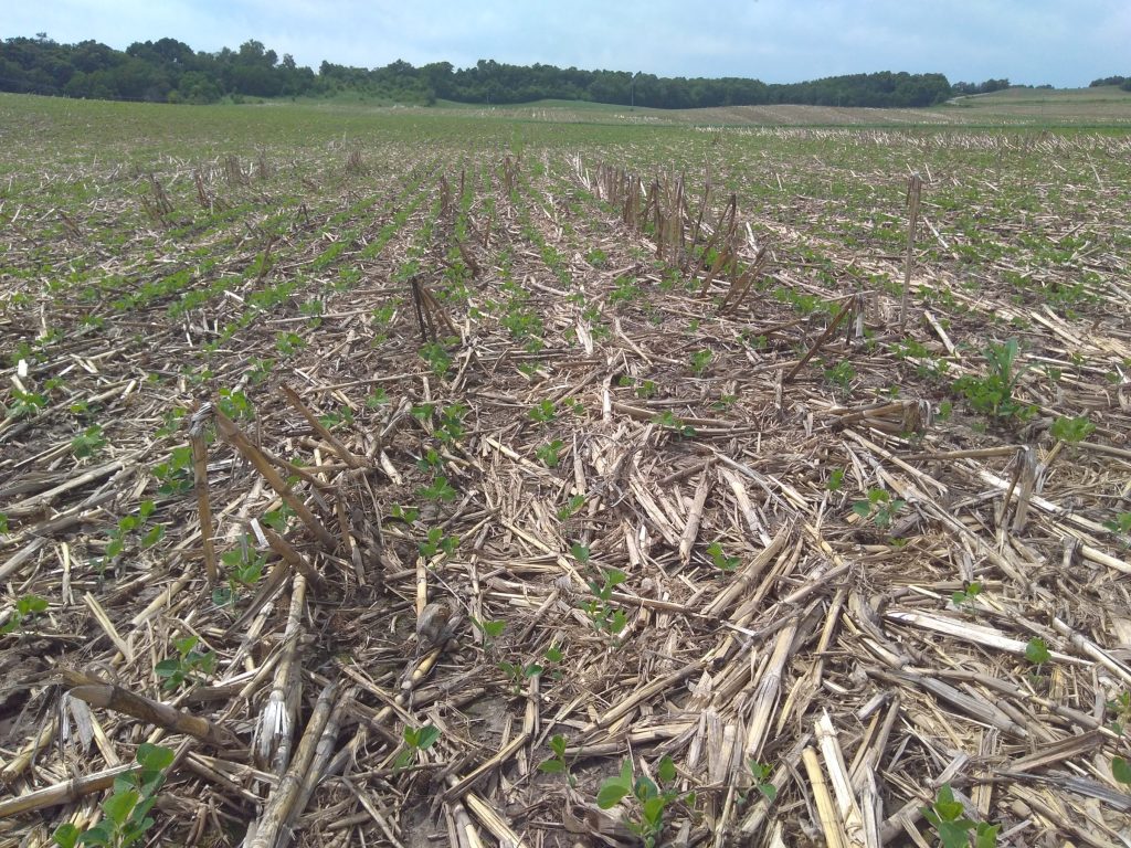 Research Brief: Assessing Practices to Decrease Agricultural Phosphorus Losses in Wisconsin