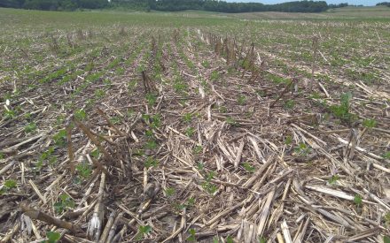 Research Brief: Assessing Practices to Decrease Agricultural Phosphorus Losses in Wisconsin