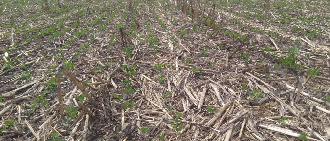 Research Brief: Assessing Practices to Decrease Agricultural Phosphorus Losses in Wisconsin