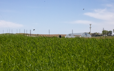 Regional Summary of P Science Assessment: Southwest Wisconsin