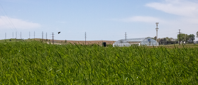 Regional Summary of P Science Assessment: Southwest Wisconsin