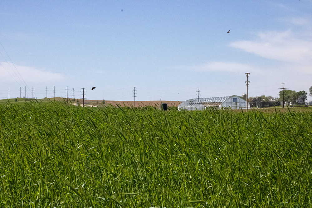 Regional Summary of P Science Assessment: Southwest Wisconsin
